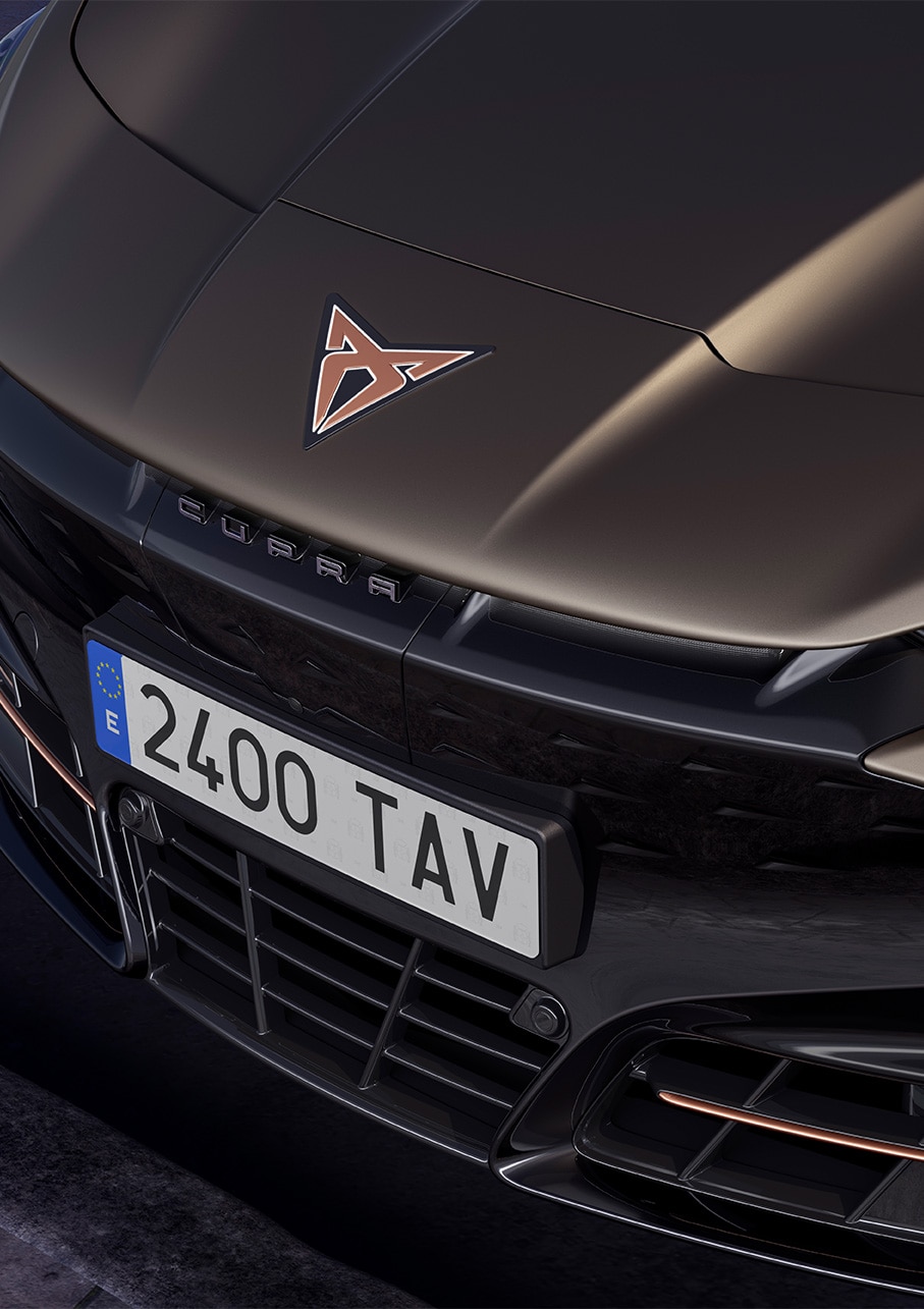 CUPRA Tavascan in Century Bronze