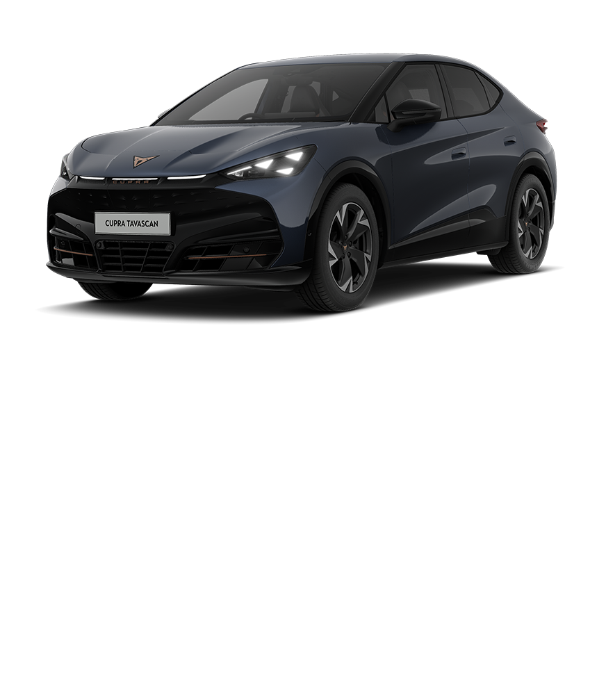 A%20CUPRA%20Tavascan%20V1